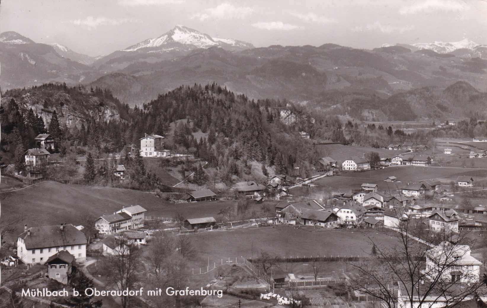 Muiboch_20220115_0001